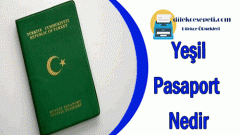 Yeşil Pasaport Nedir